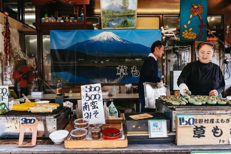 Tokyo: Mt. Fuji, Kamakura, Big Buddha, & Lake Ashi Day Trip - Transport, pace, and who will enjoy it