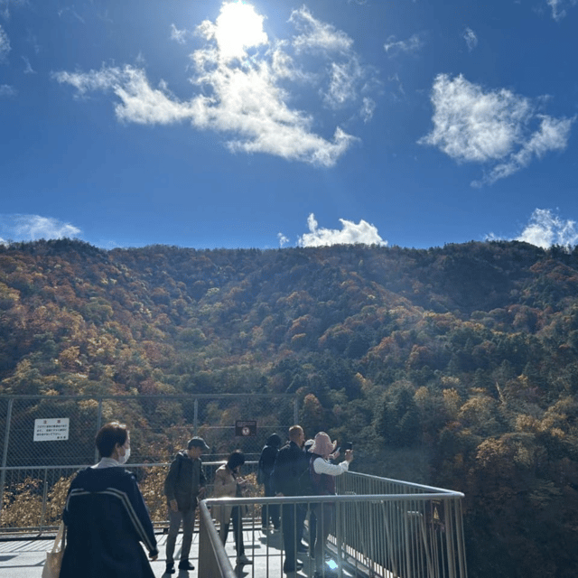 Tokyo → Nikko:Private Customizable Day Trip (English Driver) - Kegon Falls is spectacular, but admission is separate