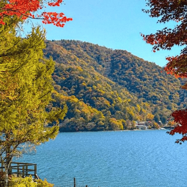 Tokyo → Nikko:Private Customizable Day Trip (English Driver) - Toshogu Shrine deserves more than a quick photograph