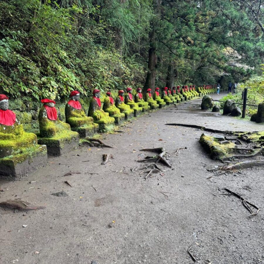 Tokyo → Nikko:Private Customizable Day Trip (English Driver) - Edo Wonderland is an option, not a free add-on