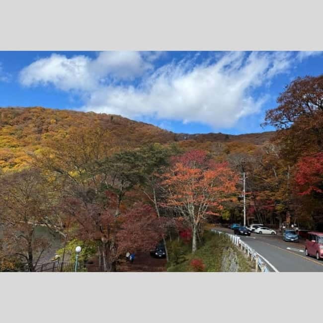 Tokyo: Nikko World Heritage Private Day Trip Hotel Pick-up - Key points at a glance