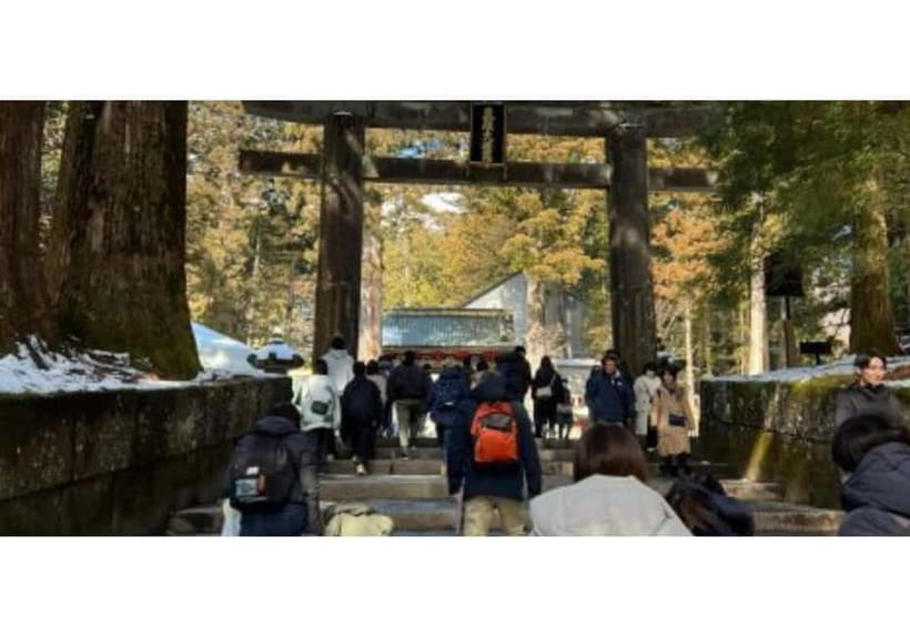 Tokyo: Nikko World Heritage Private Day Trip Hotel Pick-up - Why a private car makes Nikko easier