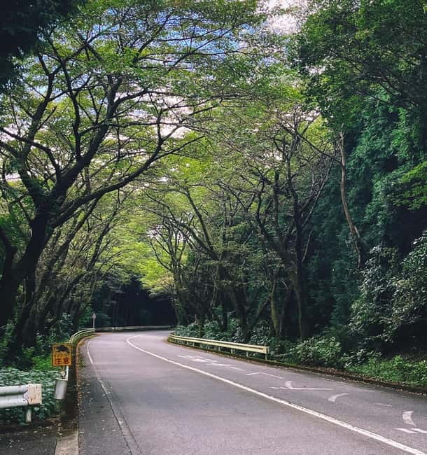 Tokyo: Onsen, Arts, and Nature Day Trip to Fuji and Hakone - The 90-minute drive to Hakone