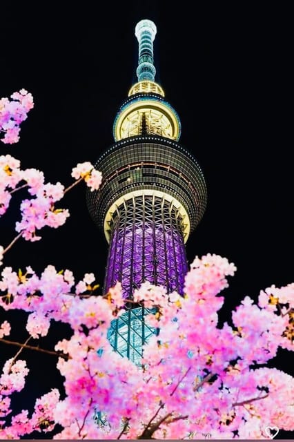 Tokyo Private Day Trip With English Speaking Driver - What the driver-guide service is like