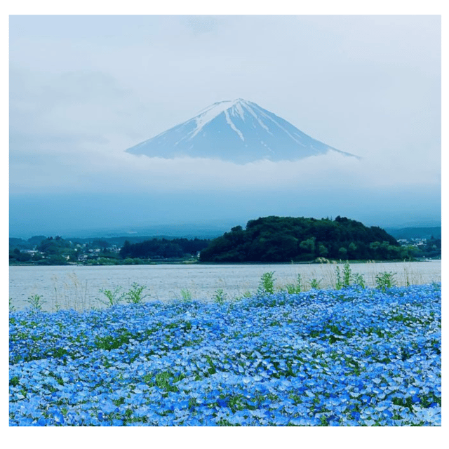 “Tokyo to Mt. Fuji & Hakone: Private Customizable Day Trip” - How the private vehicle affects the experience