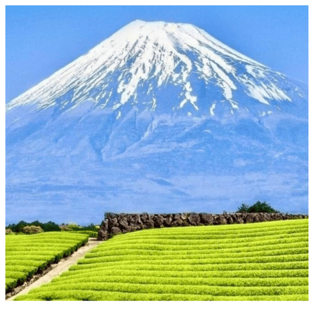 “Tokyo to Mt. Fuji & Hakone: Private Customizable Day Trip” - Mt. Fuji 5th Station: the high viewpoint