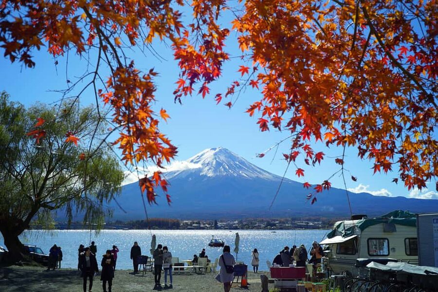 “Tokyo to Mt. Fuji & Hakone: Private Customizable Day Trip” - Saiko Iyashi-no-Sato Nenba and the Narusawa Ice Cave