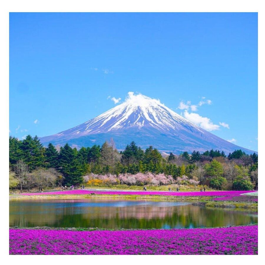 “Tokyo to Mt. Fuji & Hakone: Private Customizable Day Trip” - Hakone, Lake Ashi, and the ropeway