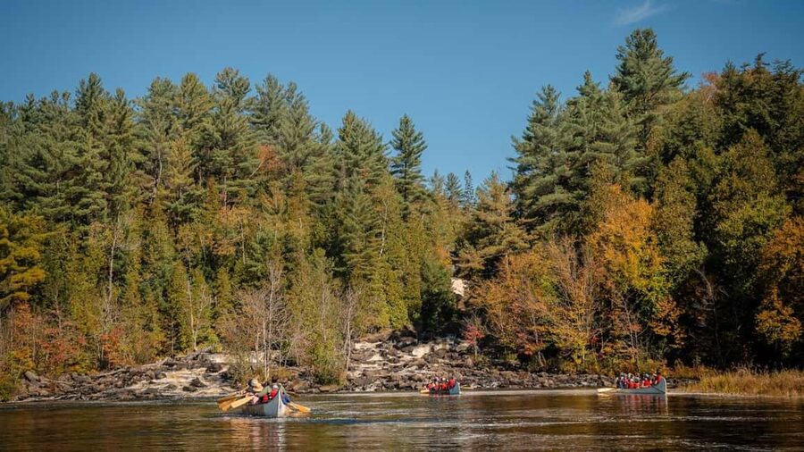 Toronto: Algonquin Park and Ragged Falls Day Trip - Why this Toronto day trip works