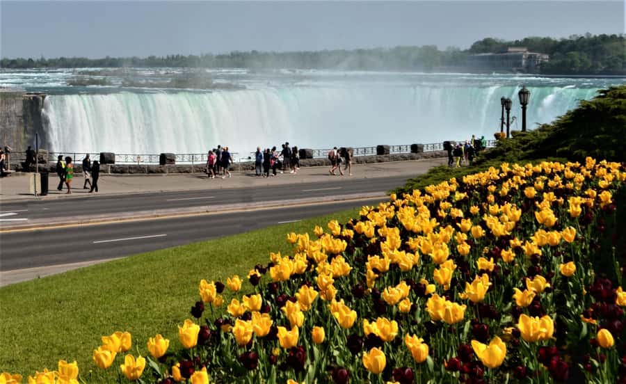 Toronto: Small-Group Niagara Falls Day Trip - Choosing the seasonal Falls attraction