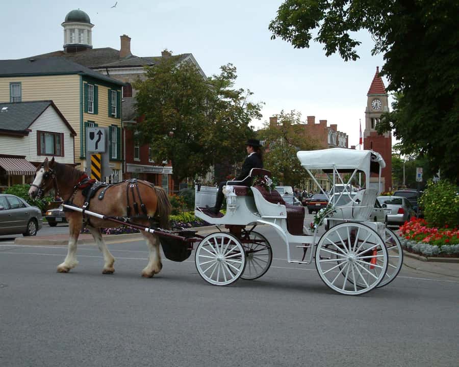Toronto: Small-Group Niagara Falls Day Trip - Comfort, group size, and practical limits