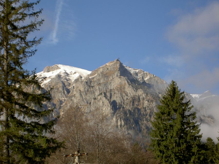 Transylvania: Cultural Full-Day Trip by Minivan - Key points at a glance