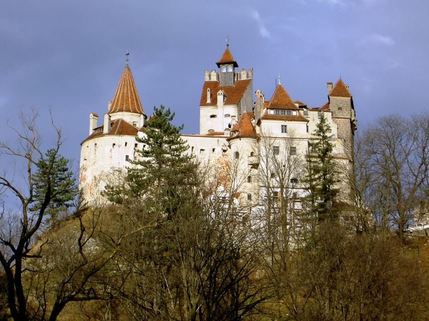 Transylvania: Cultural Full-Day Trip by Minivan - Guides, languages, and the private-group advantage