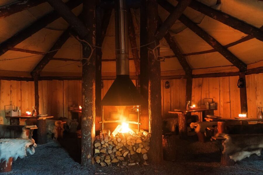 Tromsø: Reindeer Sled, Dinner, and Chance of Northern Lights - What the nighttime sled ride is really like
