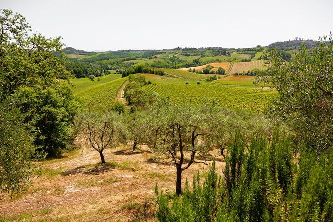 Tuscany Day Trip from Florence: Siena, San Gimignano, Pisa and Lunch at a Winery - Four Tuscan highlights in one long day