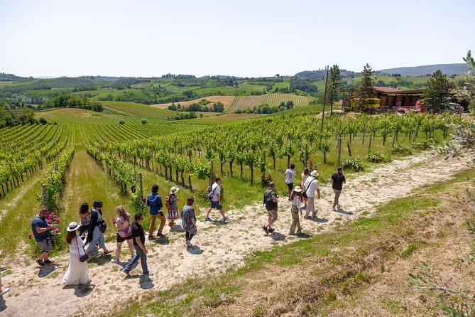 Tuscany Day Trip from Florence: Siena, San Gimignano, Pisa and Lunch at a Winery - Walking, timing, and the right type of visitor