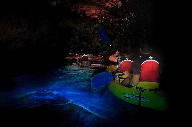 Two-in-One Day Trip: El Yunque and Bio Bay Tour with Transport - What the Bio Bay glow is really like