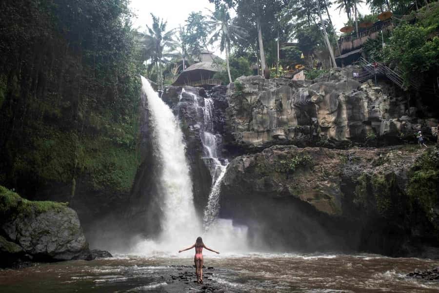 Ubud: Tegenungan Waterfall, Snorkeling, and Canyoning Tour - What the $71 price really covers