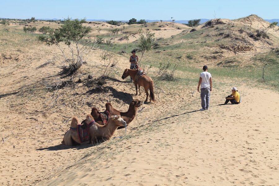 Ulaanbaatar: Semi-Gobi Desert Day Trip & Camel Ride - Lunch in the countryside
