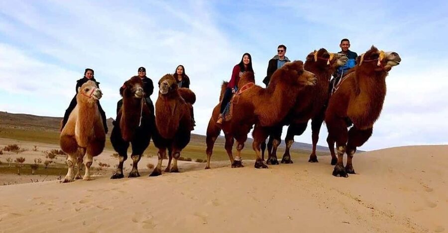 Ulaanbaatar: Semi-Gobi Desert Day Trip & Camel Ride - Returning through Ulaanbaatar traffic