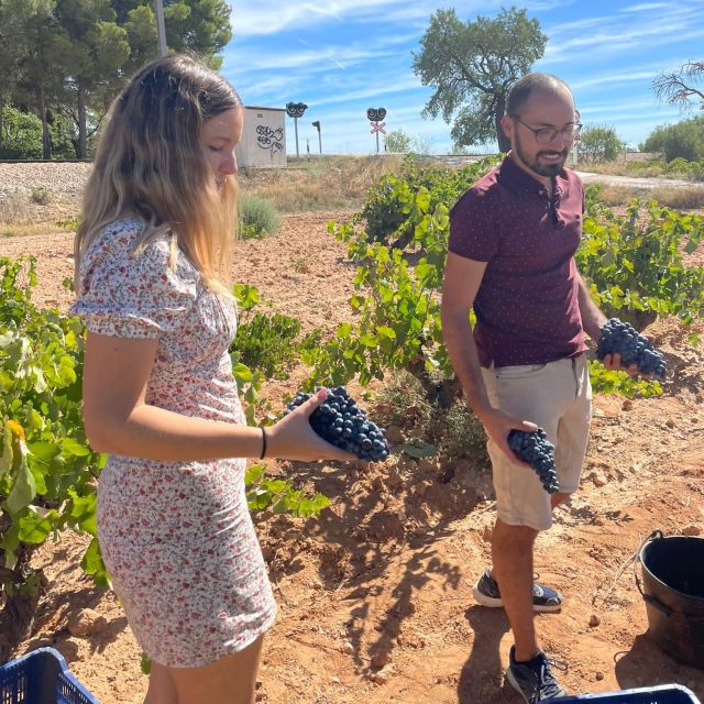 Valencia: Utiel-Requena Cave & Winery Day Trip with Tasting - Key points to know before booking