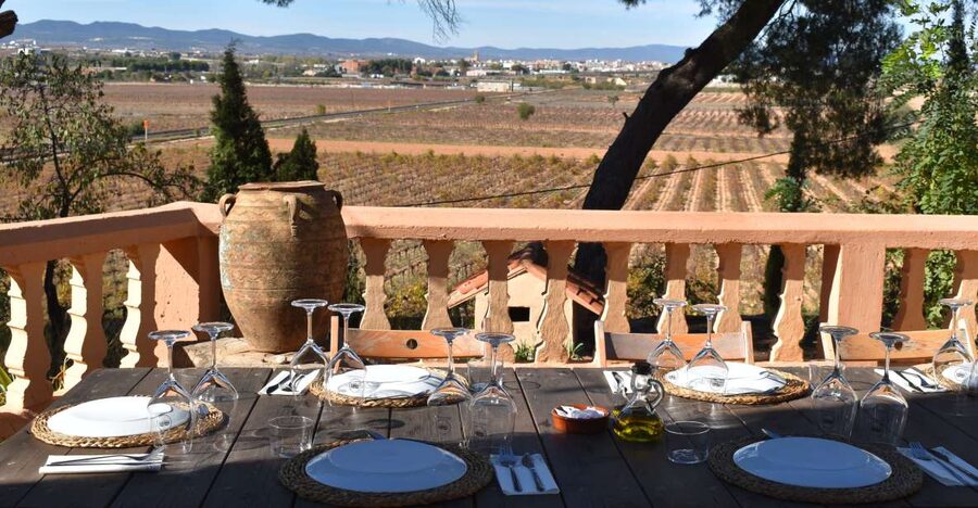 Valencia: Utiel-Requena Cave & Winery Day Trip with Tasting - A short walk through Requena