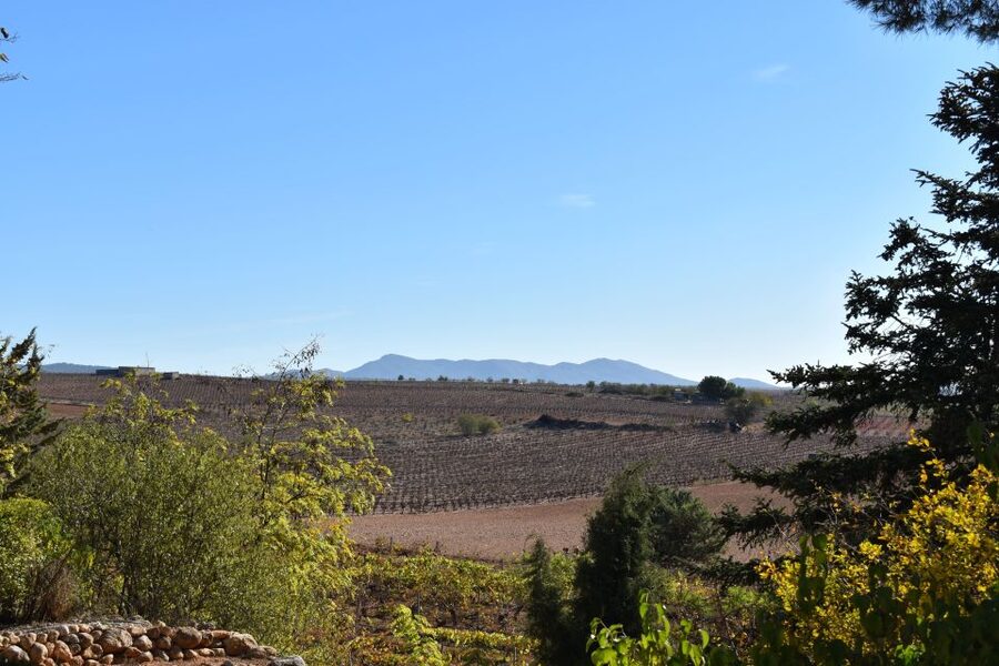 Valencia: Utiel-Requena Cave & Winery Day Trip with Tasting - A different mood at Vera de Estenas