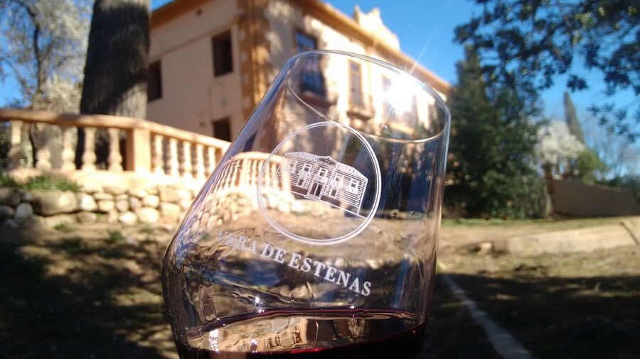 Valencia: Utiel-Requena Cave & Winery Day Trip with Tasting - What the tastings are really like