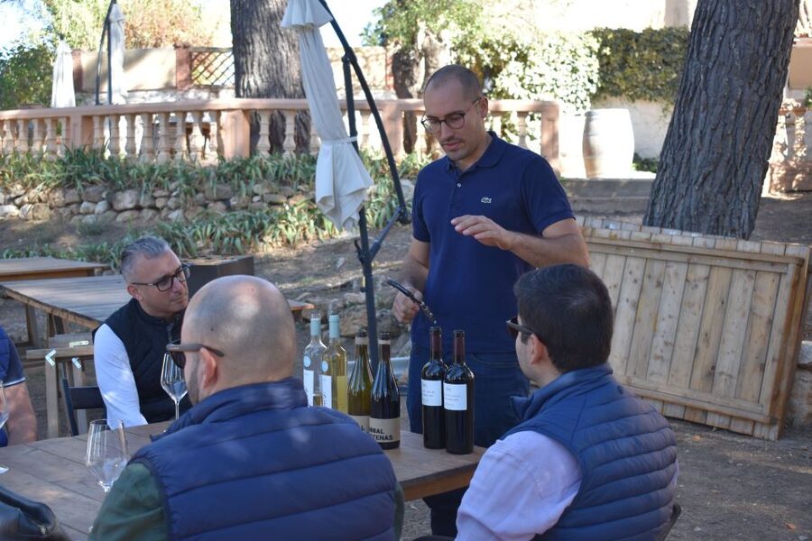 Valencia: Utiel-Requena Cave & Winery Day Trip with Tasting - Who should book this half-day outing
