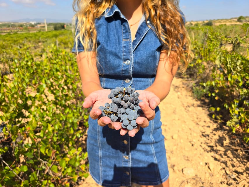 Valencia: Utiel-Requena Cave & Winery Day Trip with Tasting - Getting there from Valencia