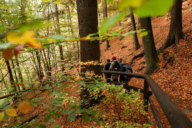 VIP Best Reviews: Bohemian & Saxon Switzerland from Prague - Lunch is part of the value