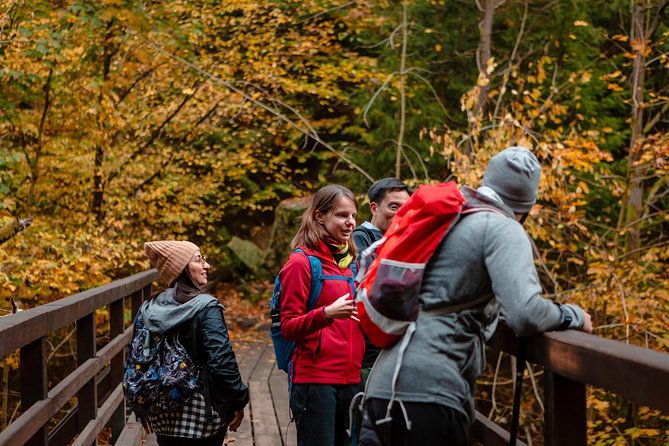 VIP Best Reviews: Bohemian & Saxon Switzerland from Prague - The guides shape the day