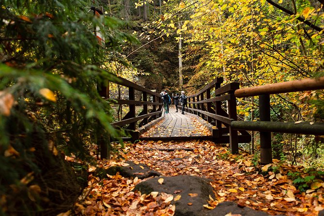 VIP Best Reviews: Bohemian & Saxon Switzerland from Prague - How hard is the walking?