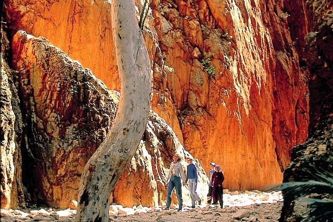 West MacDonnell Ranges Day Trip from Alice Springs - Why this West MacDonnell day trip works