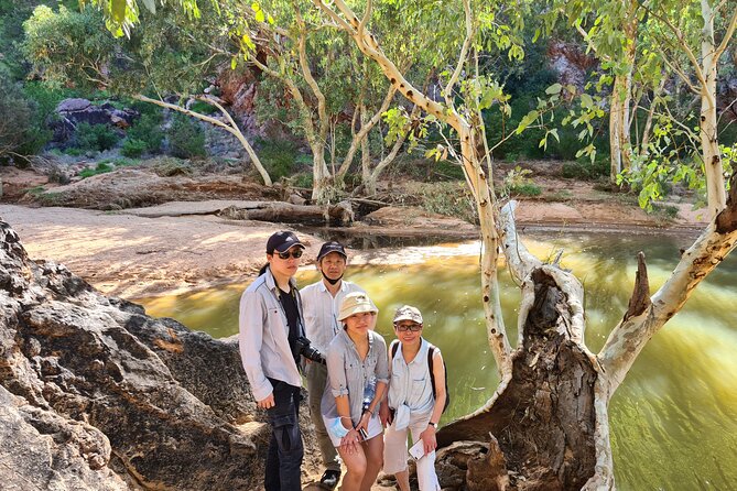 West MacDonnell Ranges Day Trip from Alice Springs - Ellery Creek Big Hole and a desert swim
