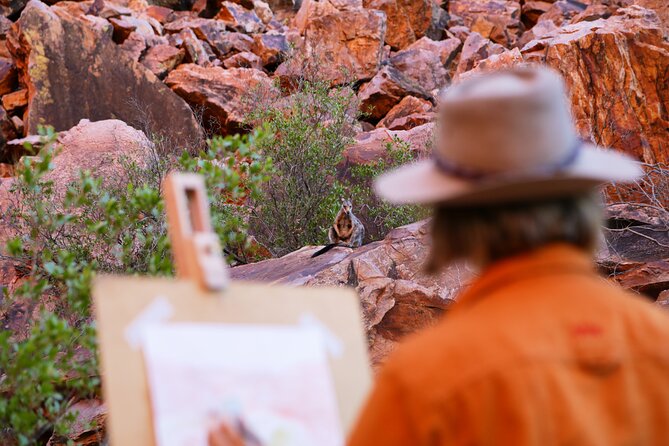 West MacDonnell Ranges Day Trip from Alice Springs - The ride home and the pace of the day