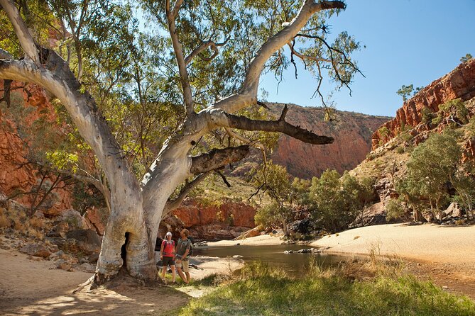 West MacDonnell Ranges & Standley Chasm Day Trip from Alice Springs - Why this West MacDonnell day trip works so well