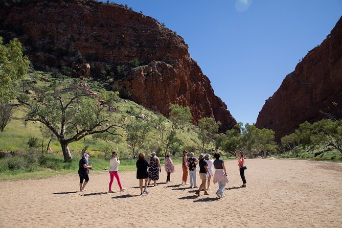West MacDonnell Ranges & Standley Chasm Day Trip from Alice Springs - Simpsons Gap and the chance of wildlife