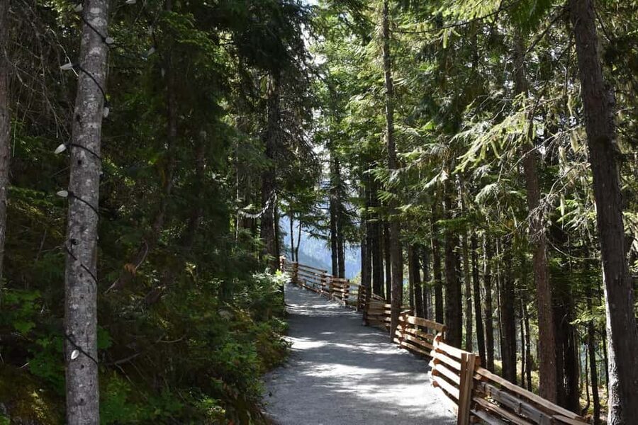 Whistler, Sea to Sky Gondola, and Shannon Falls Day Trip - The Sea to Sky Gondola and Habrich Ridge