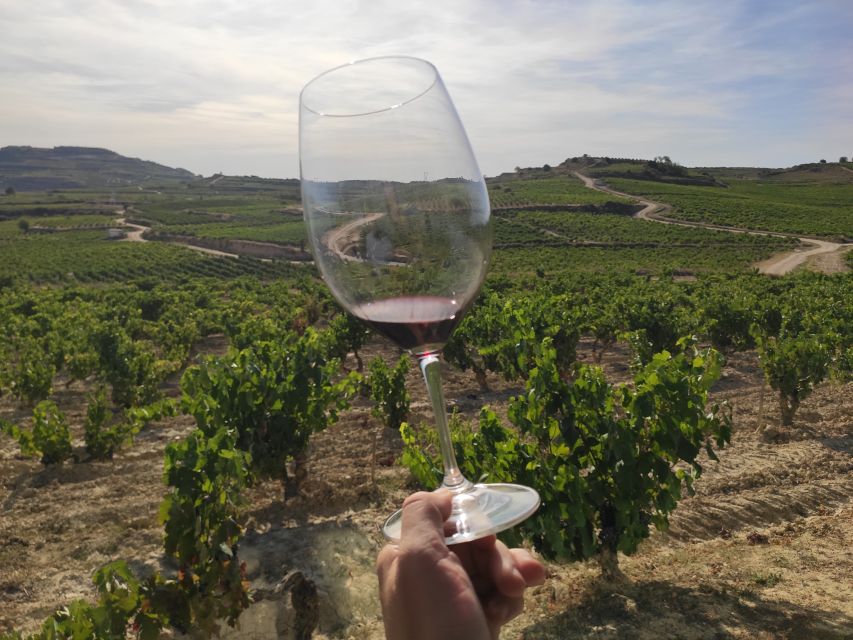 Wine Tour: 2 wineries in La Rioja - Why this Rioja day works so well