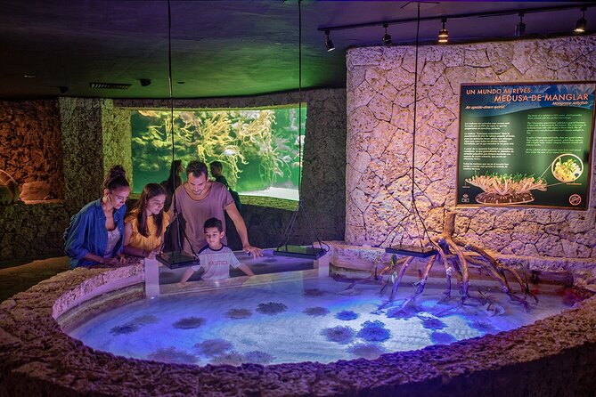Xcaret Park Day Trip, transportation and Cultural Night Show - Start with the underground rivers