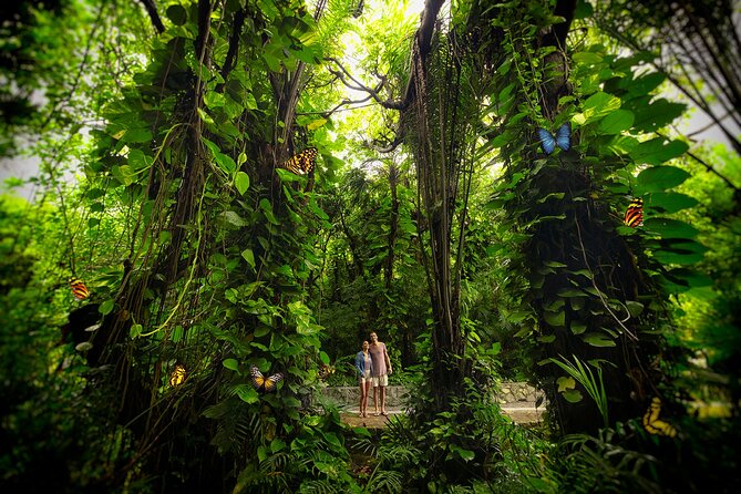 Xcaret Park Day Trip, transportation and Cultural Night Show - Mayan sites and Mexican culture beyond the stage