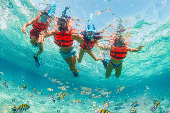 Xcaret Park Day Trip, transportation and Cultural Night Show - Making sense of Xcaret Plus