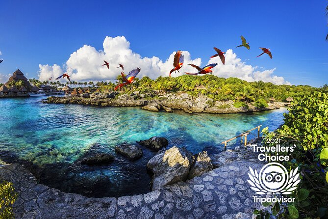 Xcaret Park Day Trip, transportation and Cultural Night Show - The evening show is the strongest reason to stay