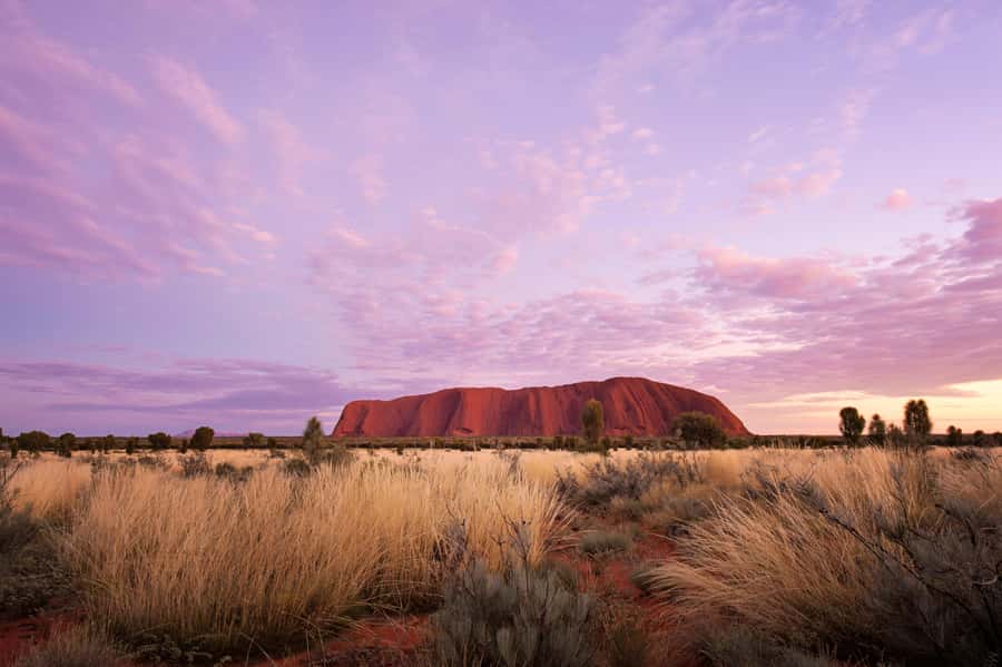 Yulara: Uluru Sunrise and Kata Tjuta Day Trip by Bus - Key points at a glance