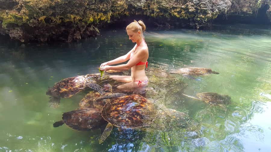 Zanzibar: Nungwi Turtle Aquarium Guided Half-Day Trip - The hotel pickup and northern Zanzibar drive