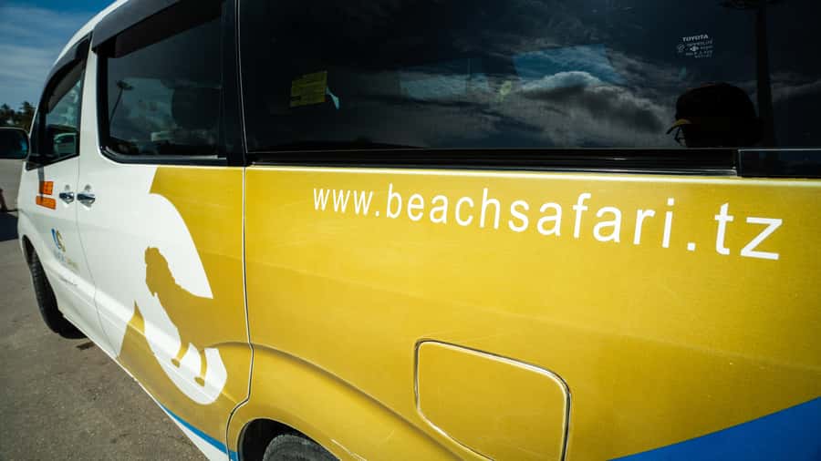 Zanzibar: Nungwi Turtle Aquarium Guided Half-Day Trip - Timing, clothing, and small practical details