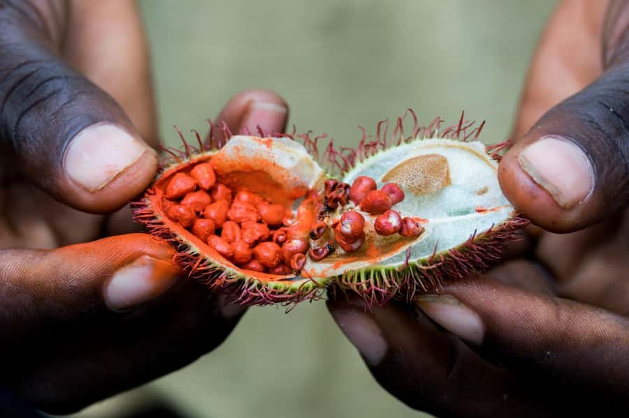 Zanzibar: Stone Town, Spice Tour, Prison Island with Lunch - Should you book this Zanzibar tour?