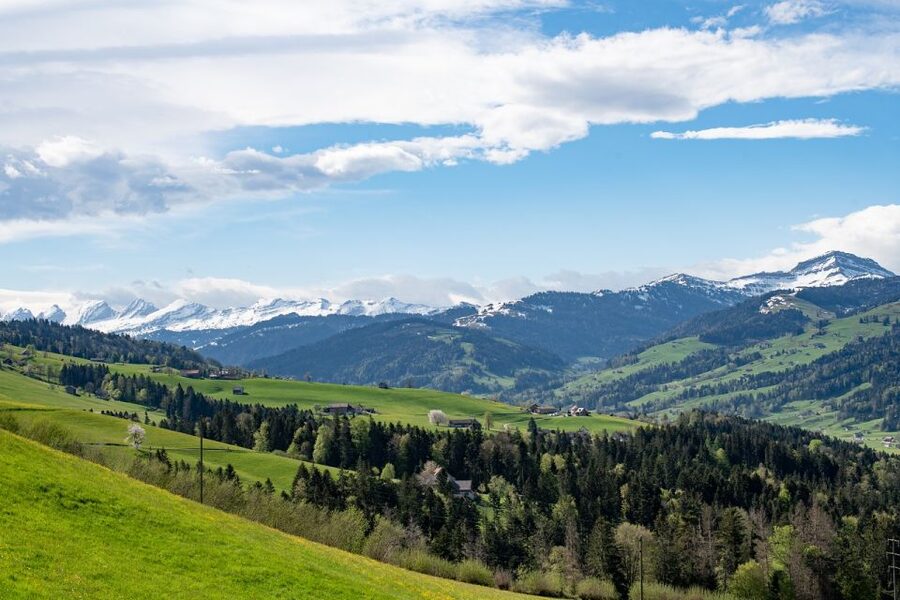 Zurich: Appenzell Day Trip with Farm Visit & Cheese Tasting - Group size, guides, and the feel of the day